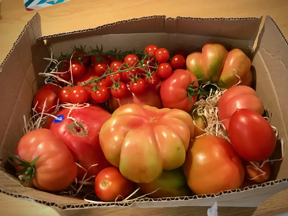 A box of assorted tomatoes — cherry, heirloom and beefsteak — nestled in straw, ready for the salad