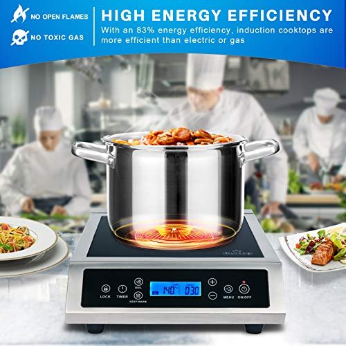 Photograph of the Duxtop Professional Portable Induction Cooktop, P961LS/BT-C35-D one of the Best Induction Cooktops
